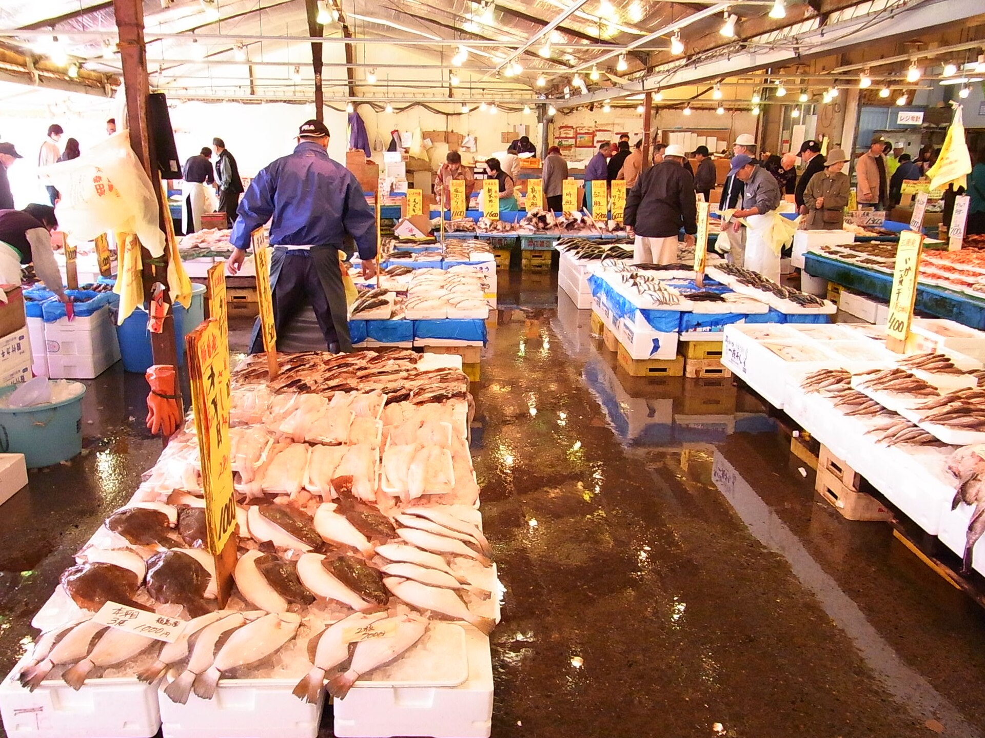 Nakaminato Fish Market