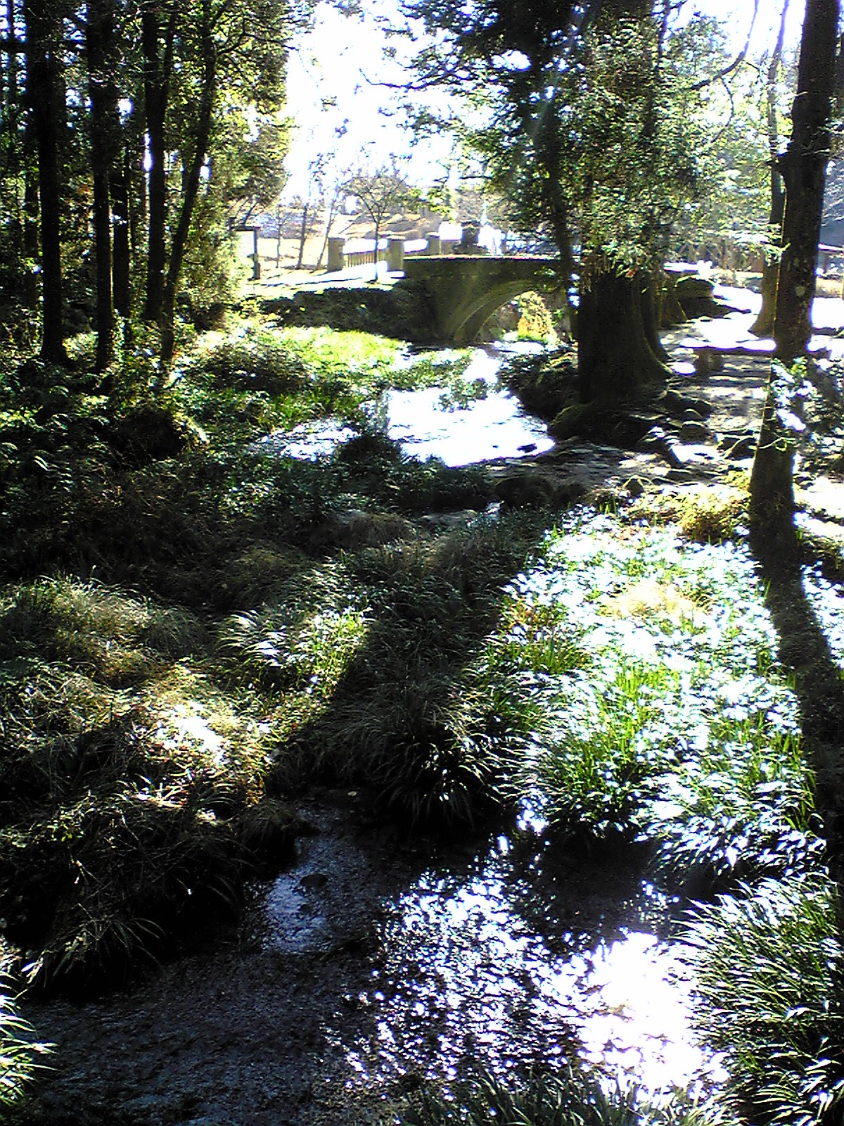 Ikeyama Spring