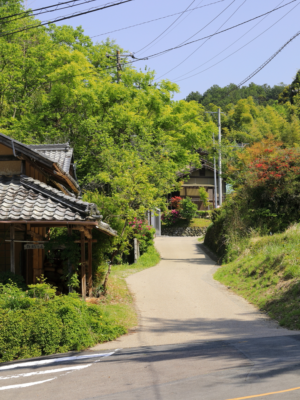 Magome to Tsumago Hike